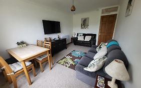 A Great Place For You And Your Dog To Stay